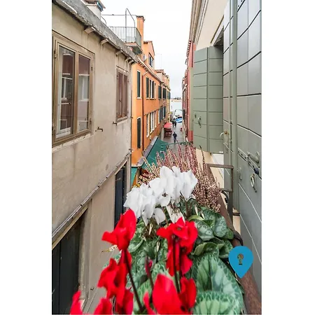 Triplyrooms Collection -