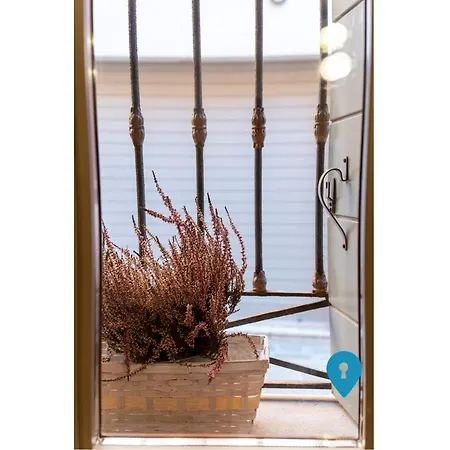 Triplyrooms Collection - 3*