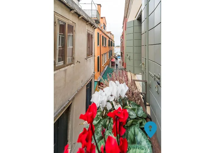 Triplyrooms Collection -