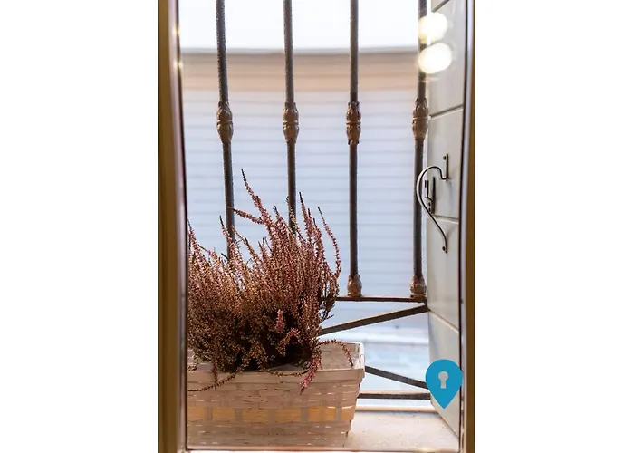 Triplyrooms Collection - 3*